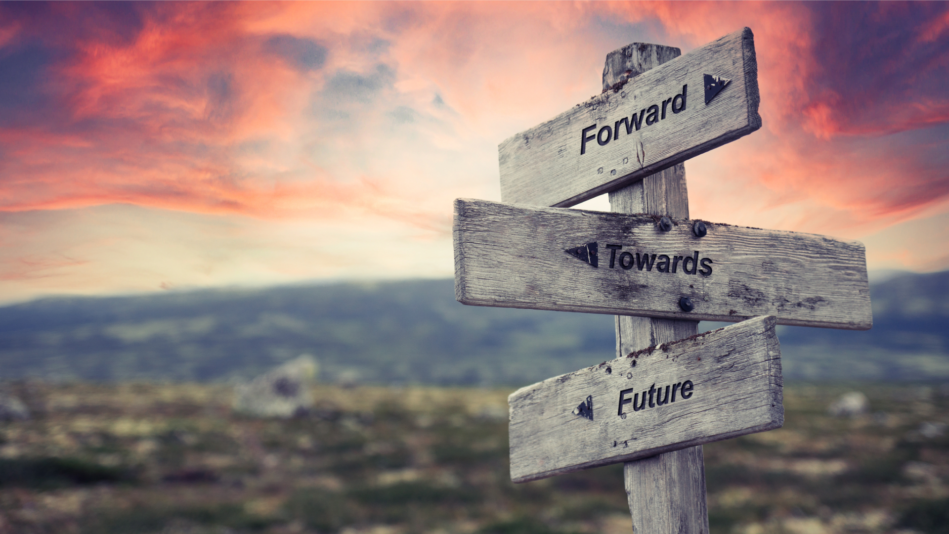 forward towards future text quote on wooden signpost outdoors in nature. Pink dramatic skies in the background.